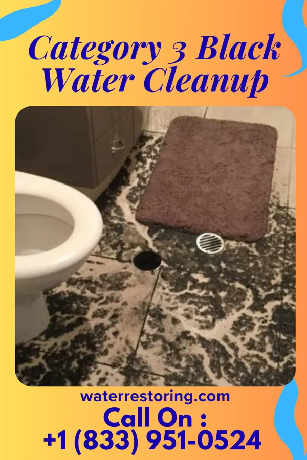 Category 3 Black Water Cleanup in Stantonville, TN