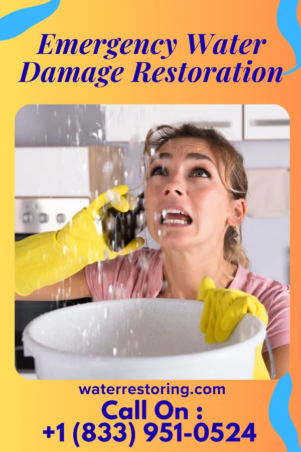 Emergency Water Damage Restoration in Stantonville, TN