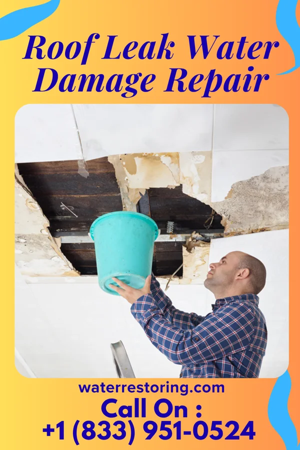 Roof Leak Water Damage Repair in Stantonville, TN