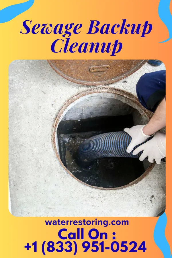 Sewage Backup Cleanup in Stantonville, TN